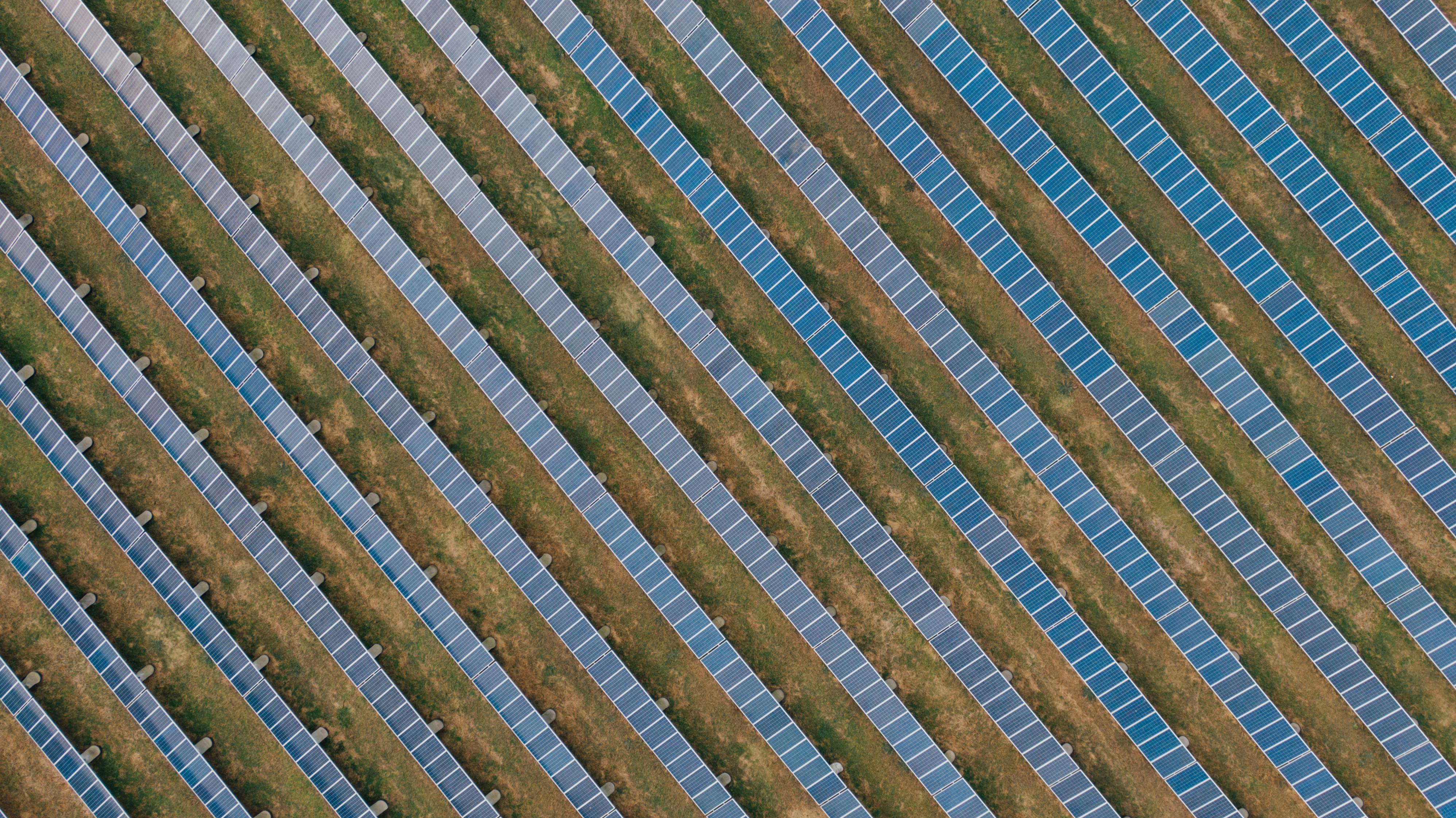 We Plant Light to Harvest the Future